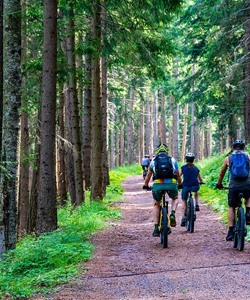 The sport side of the Black Forest