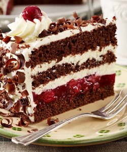 The Black Forest Cake